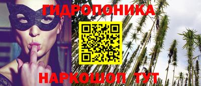 спиды Камышлов