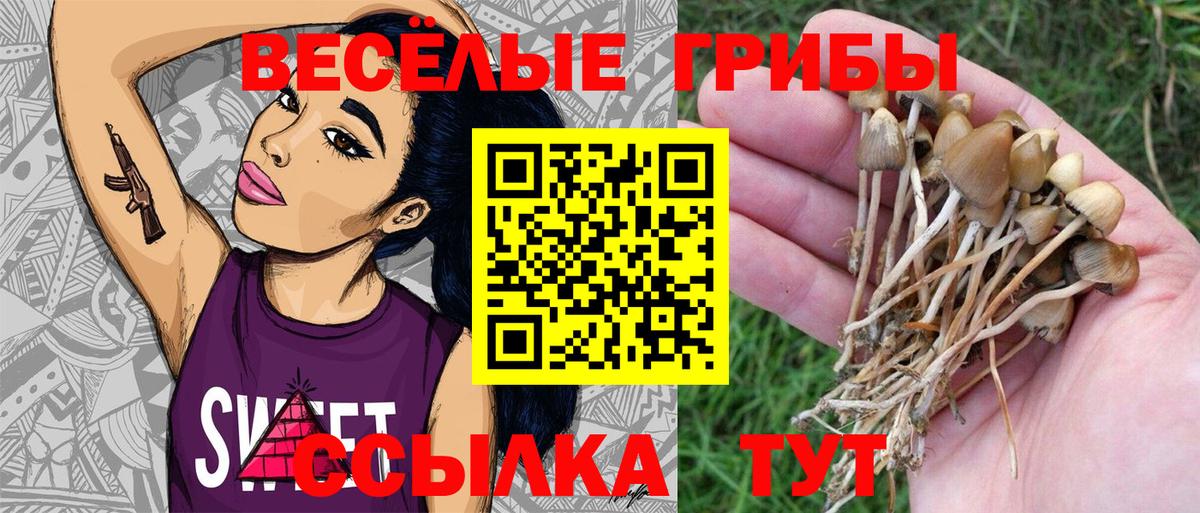 Псилоцибиновые грибы MAGIC MUSHROOMS  Вход с VPN  Галлюциногенные грибы Psilocybine cubensis  Керчь 